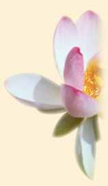 side_image_packages